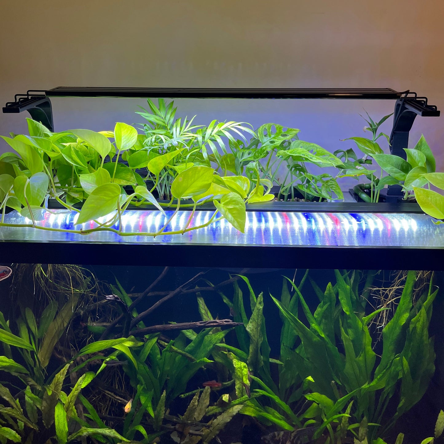 Hang-On-Back Aquarium Light Riser | 2-8 Inch Height | Adjustable Height |