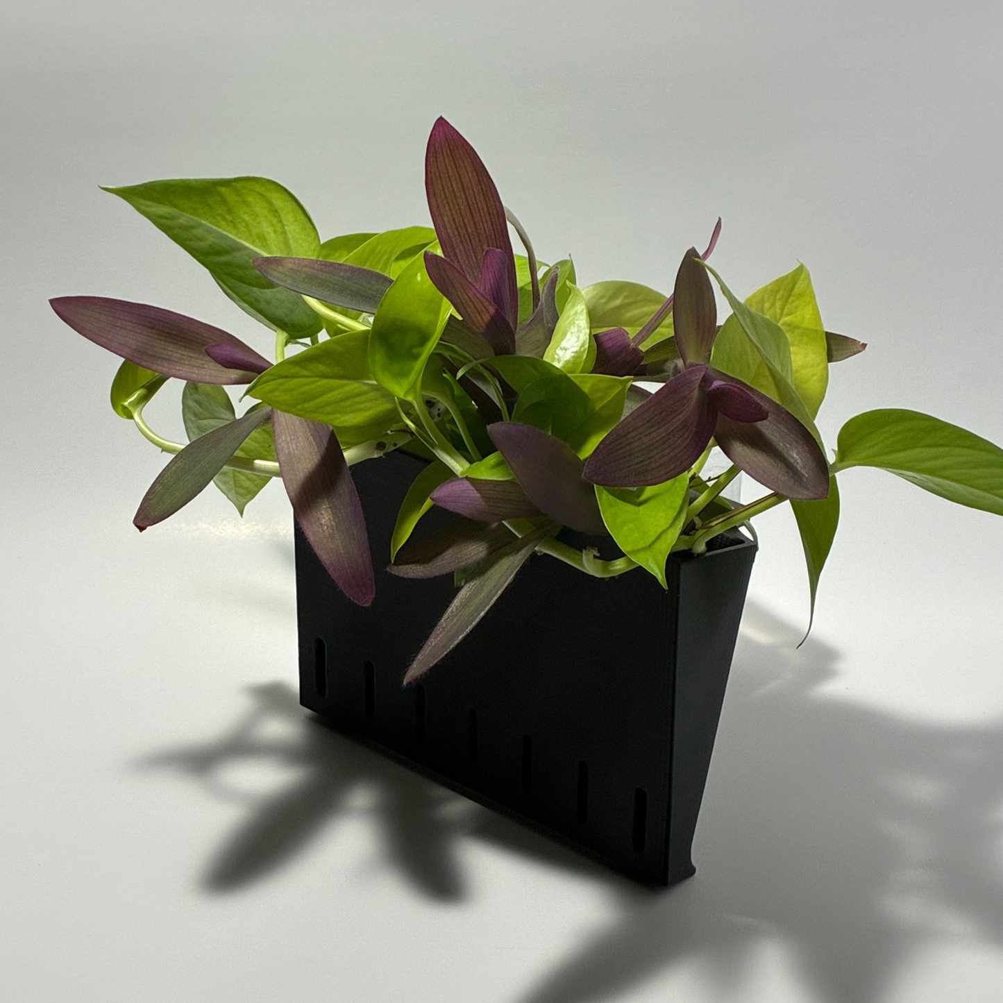 Aquatic Planter |