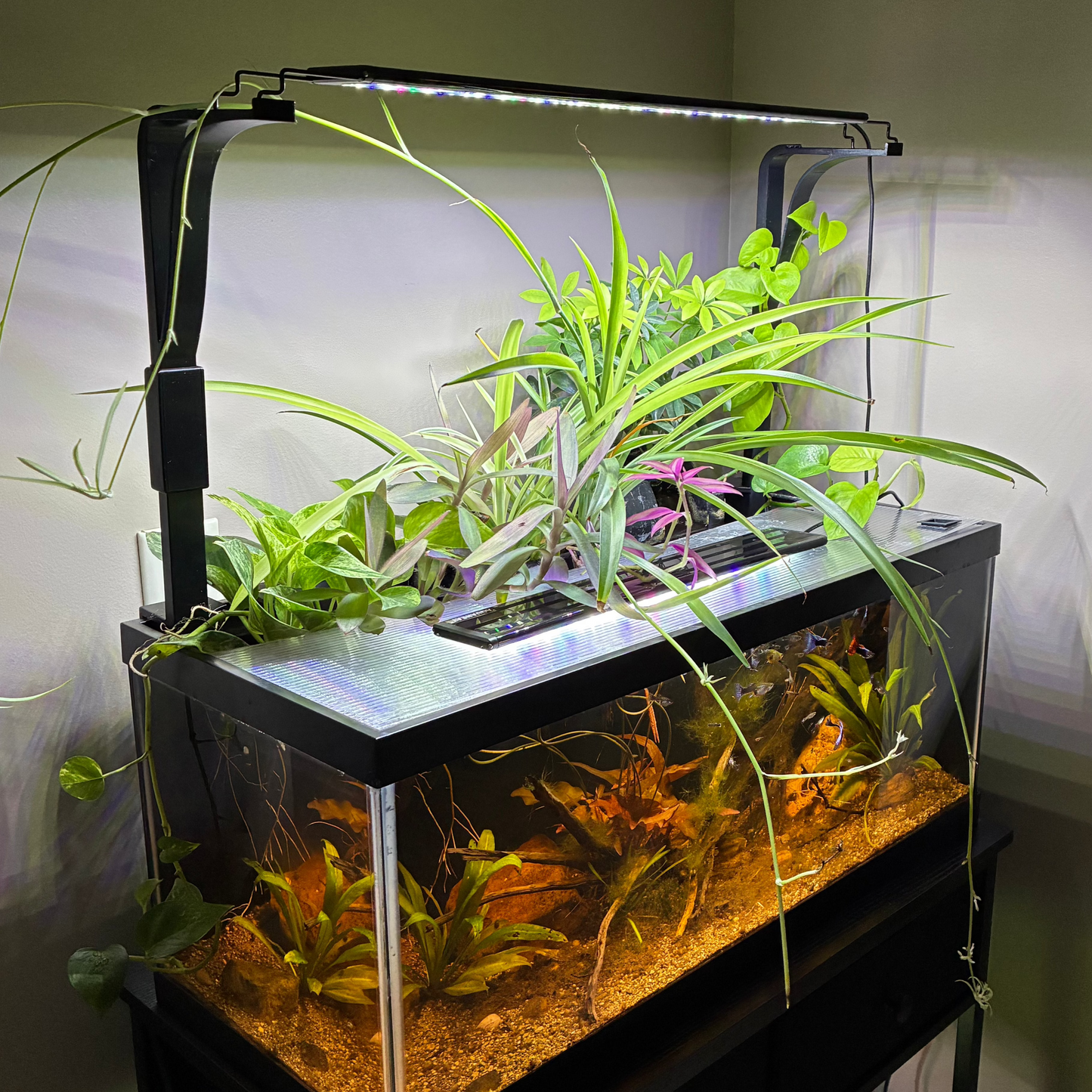 Hang-On-Back Aquarium Light Riser | 12 inch Height |