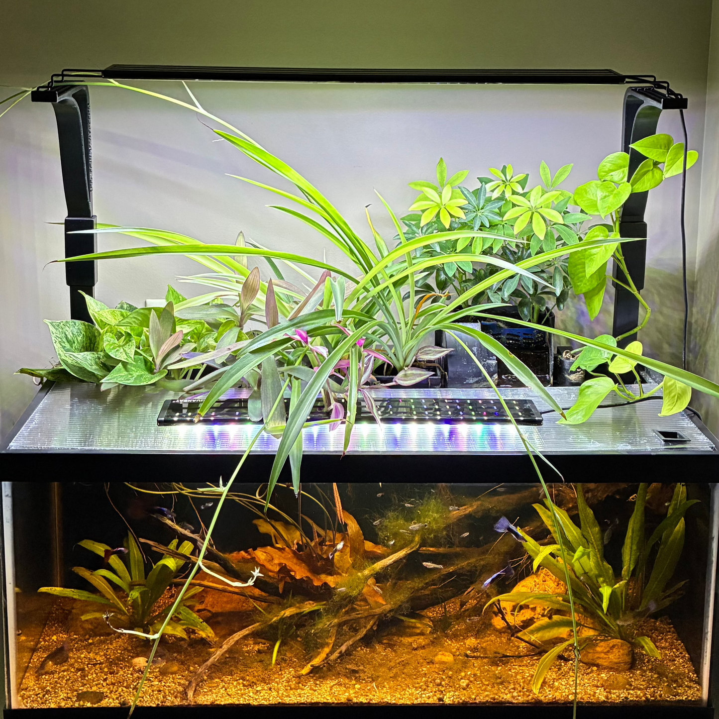 Hang-On-Back Aquarium Light Riser | 12 inch Height |