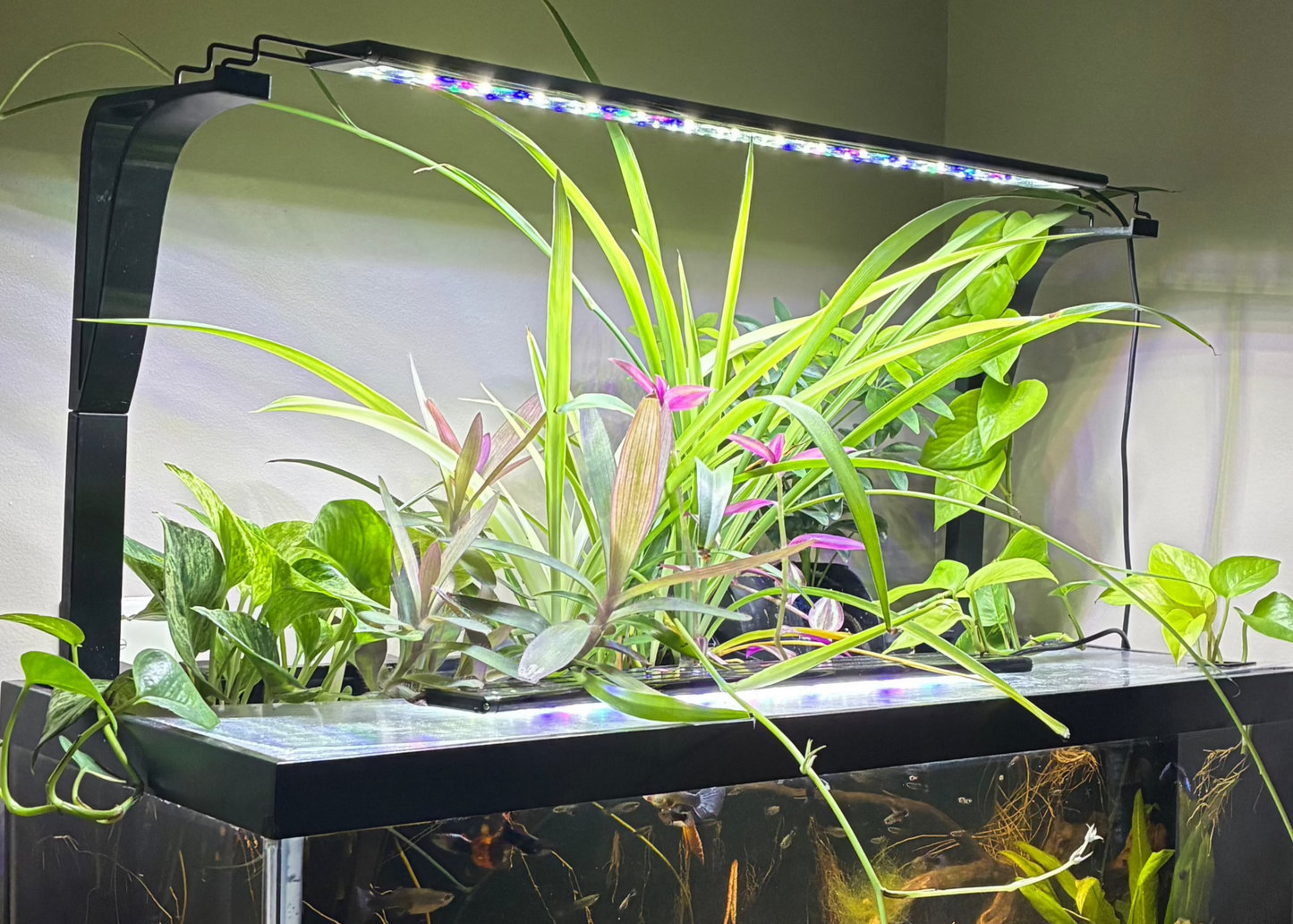 Aquatic Planter |