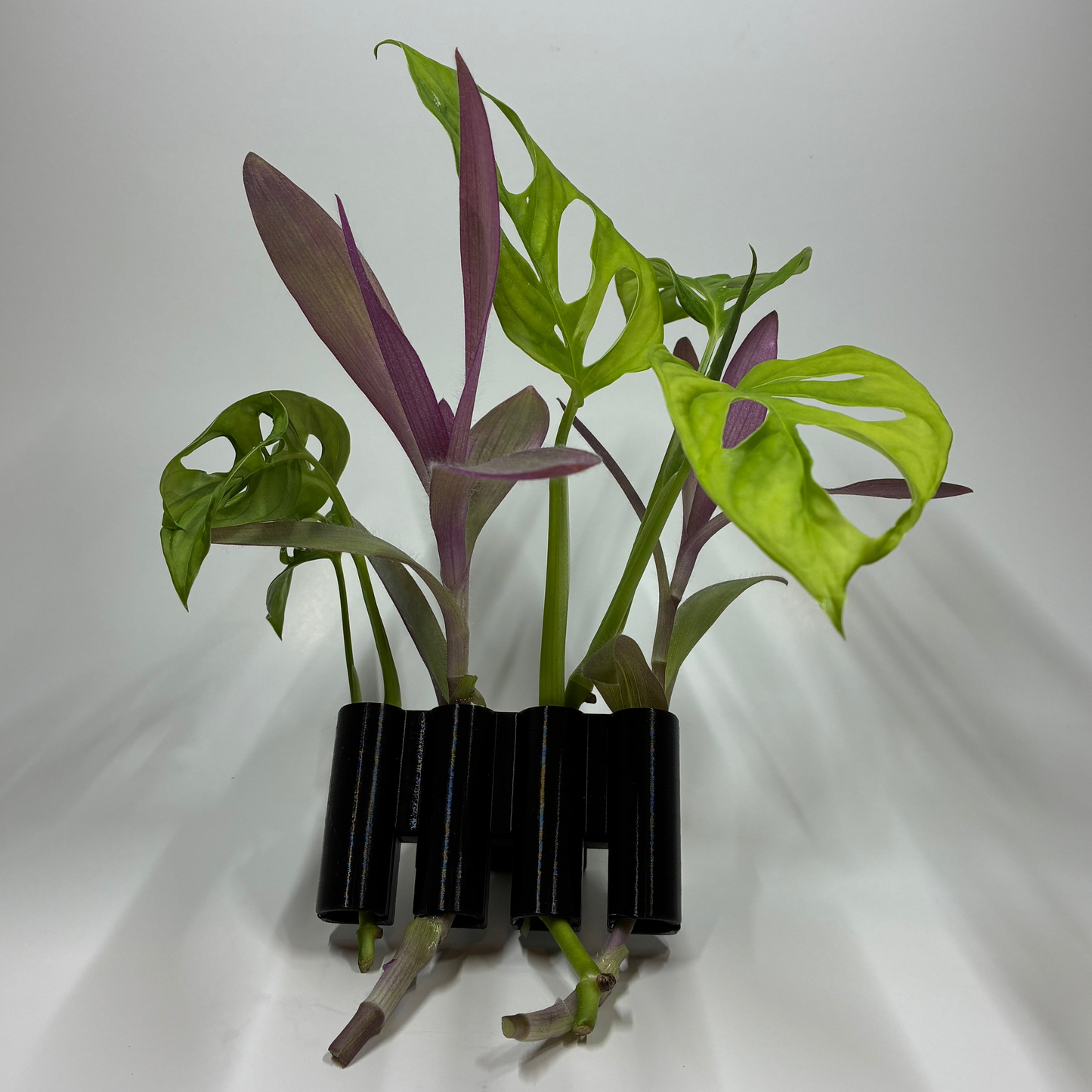 Aquatic Bamboo/Vine Clip